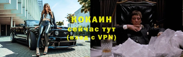 молекула духа Зеленодольск