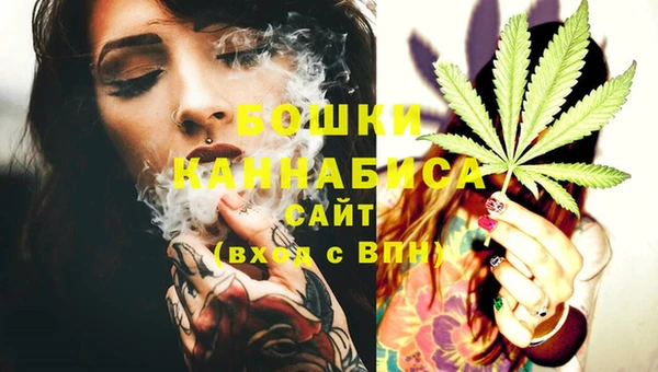молекула духа Зеленодольск