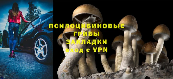 кристаллы Туринск