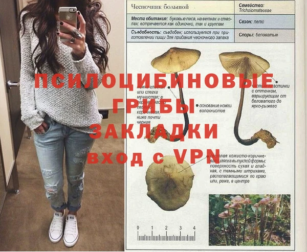 молекула духа Зеленодольск