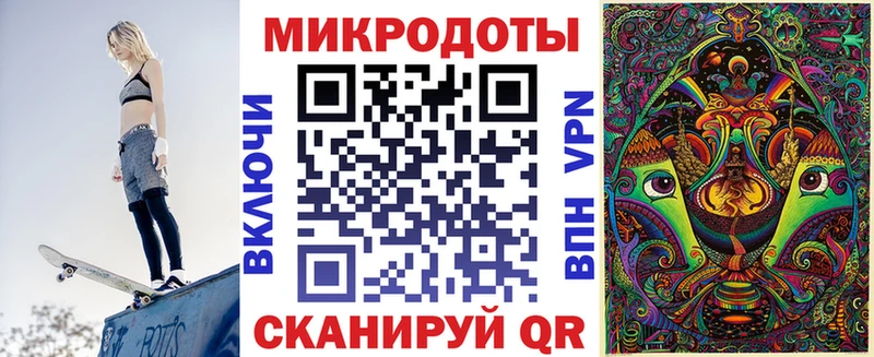 Псилоцибиновые грибы Psilocybe  Торопец 
