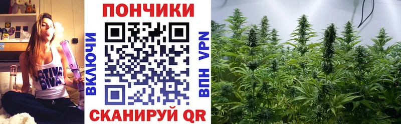 Марихуана White Widow дарнет шоп Торопец
